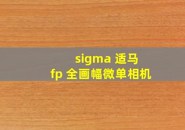 sigma 适马 fp 全画幅微单相机